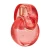 Bvlgari Omnia Coral EDT - odlewka perfum