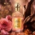 Oryginalne odlewki perfum Guerlain Aqua Allegoria